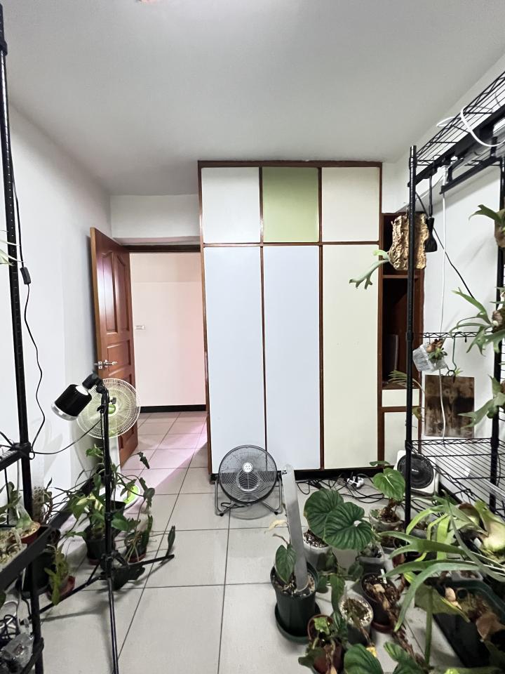 拆除工程案件圖片