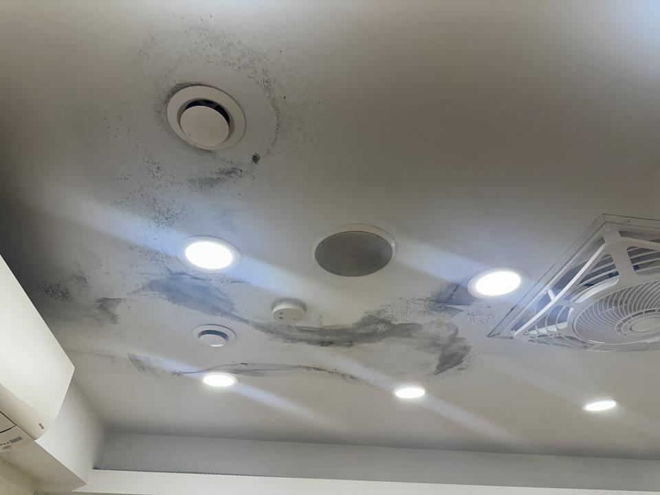 除霉案件圖片