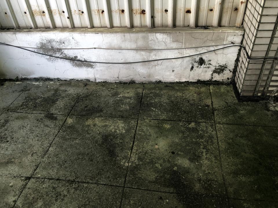 屋頂防水案件圖片