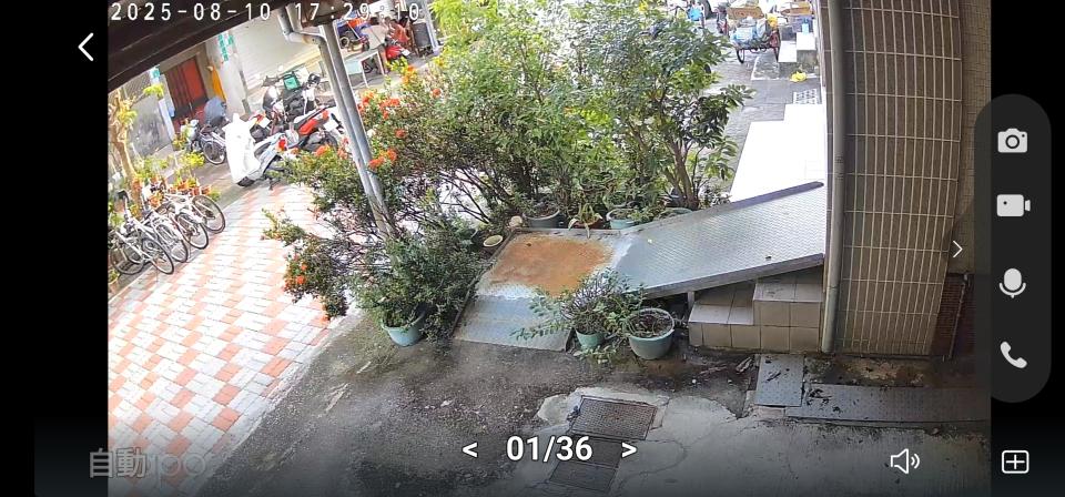 園藝維護案件圖片