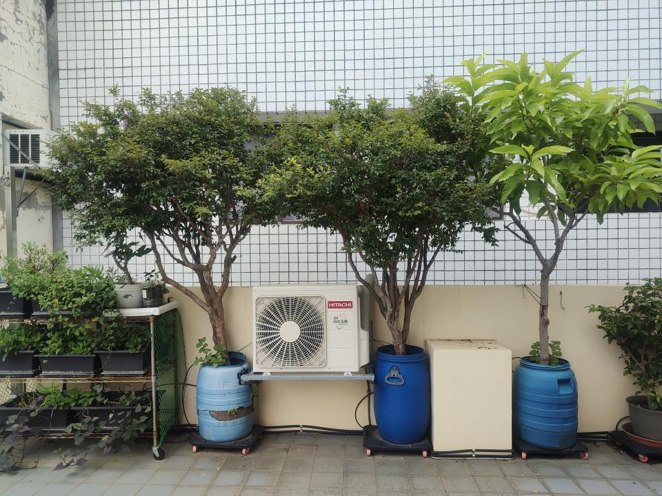 園藝維護案件圖片