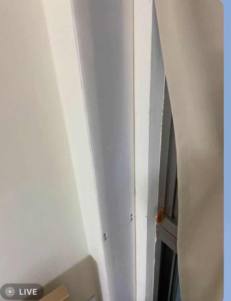 壁紙施工案件圖片
