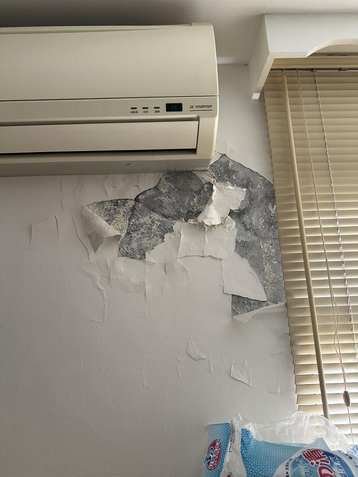 油漆工程案件圖片