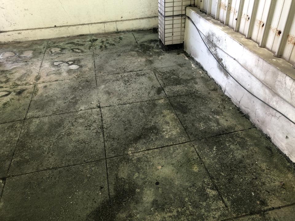 屋頂防水案件圖片