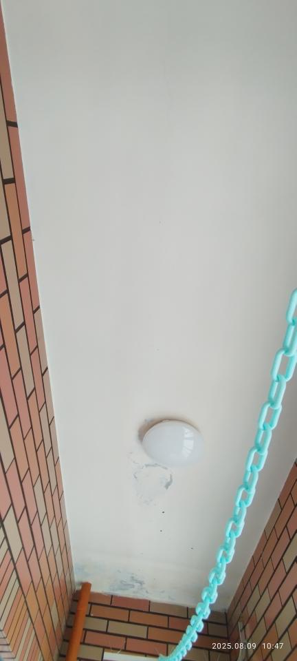 抓漏案件圖片