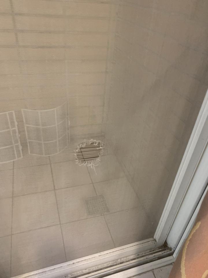紗窗裝修案件圖片