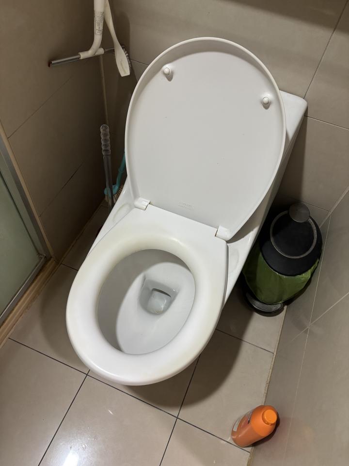 馬桶裝修案件圖片