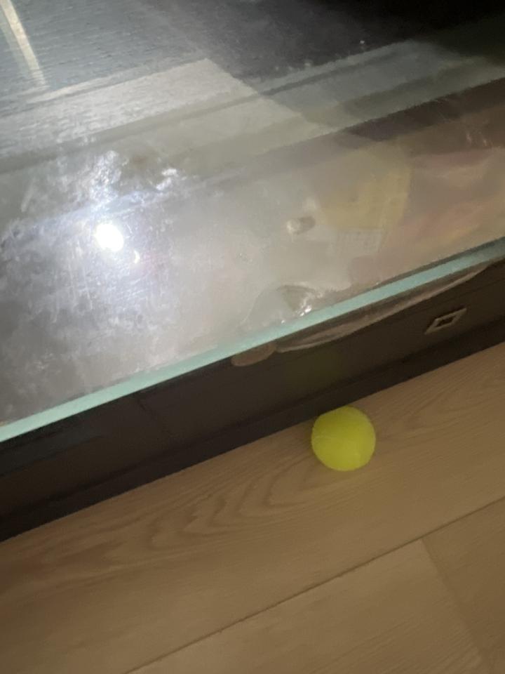 家具維修案件圖片