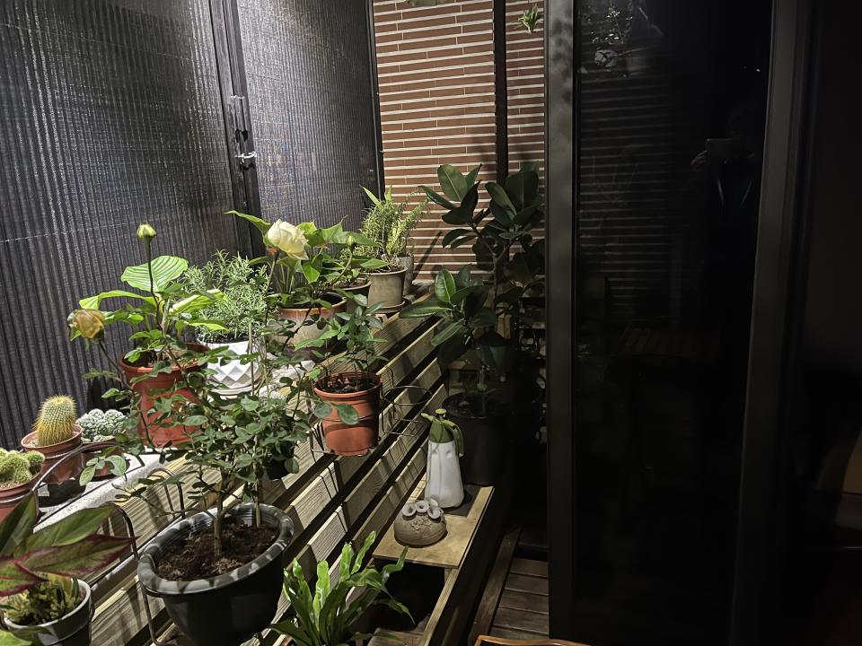 花園自動灑水系統案件圖片
