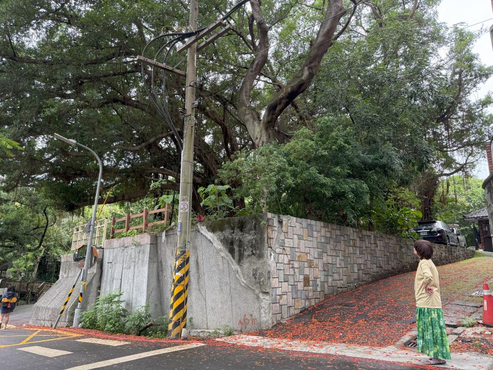 園藝維護案件圖片 園藝維護案件圖片