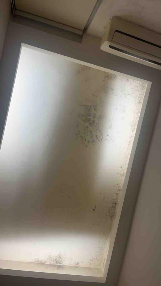 油漆工程案件圖片