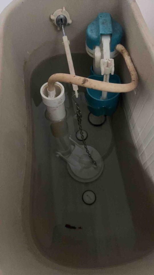 馬桶裝修案件圖片