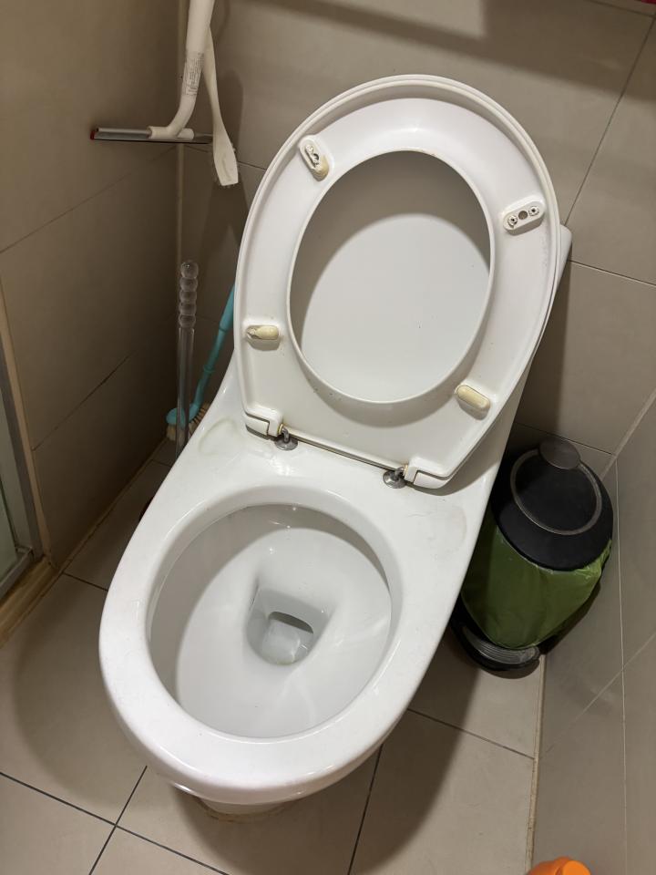 馬桶裝修案件圖片