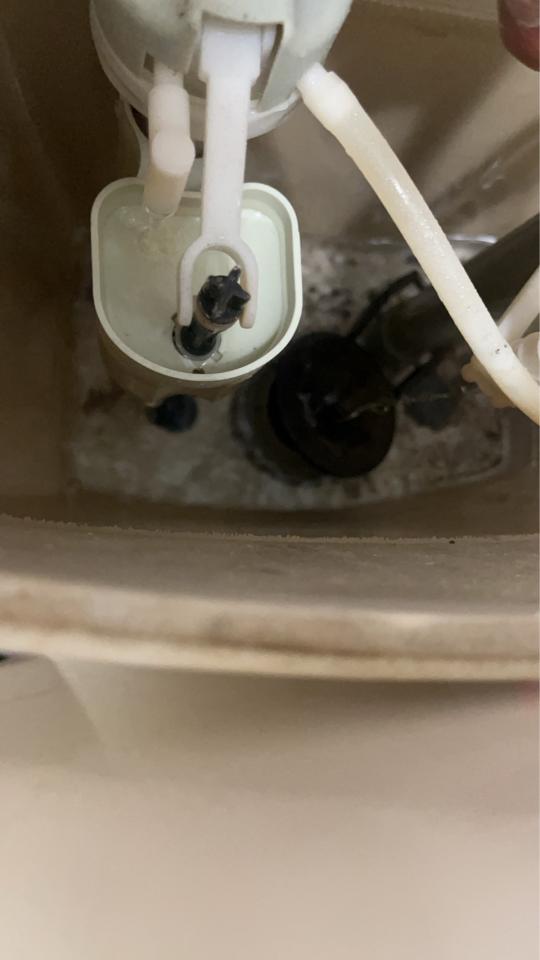 馬桶裝修案件圖片