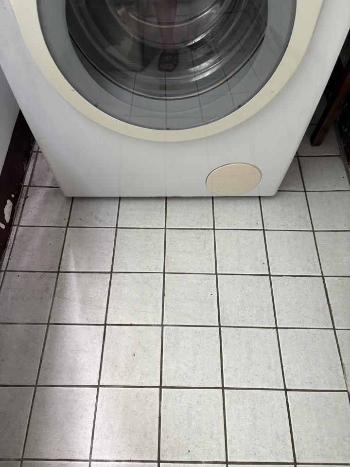 洗衣機清洗案件圖片