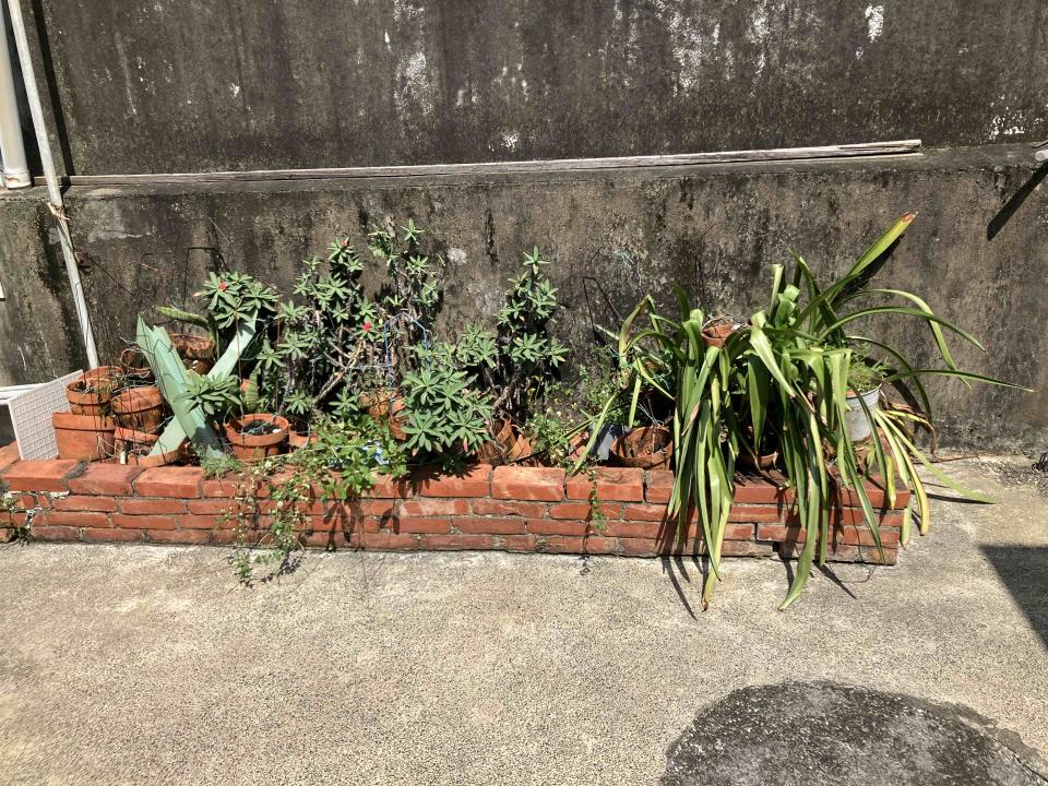 拆除工程案件圖片