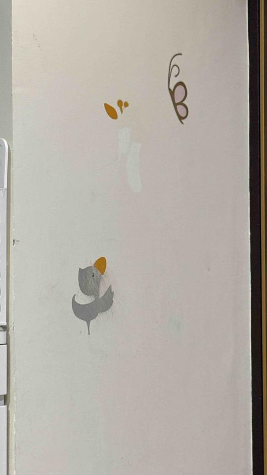 壁紙清除案件圖片