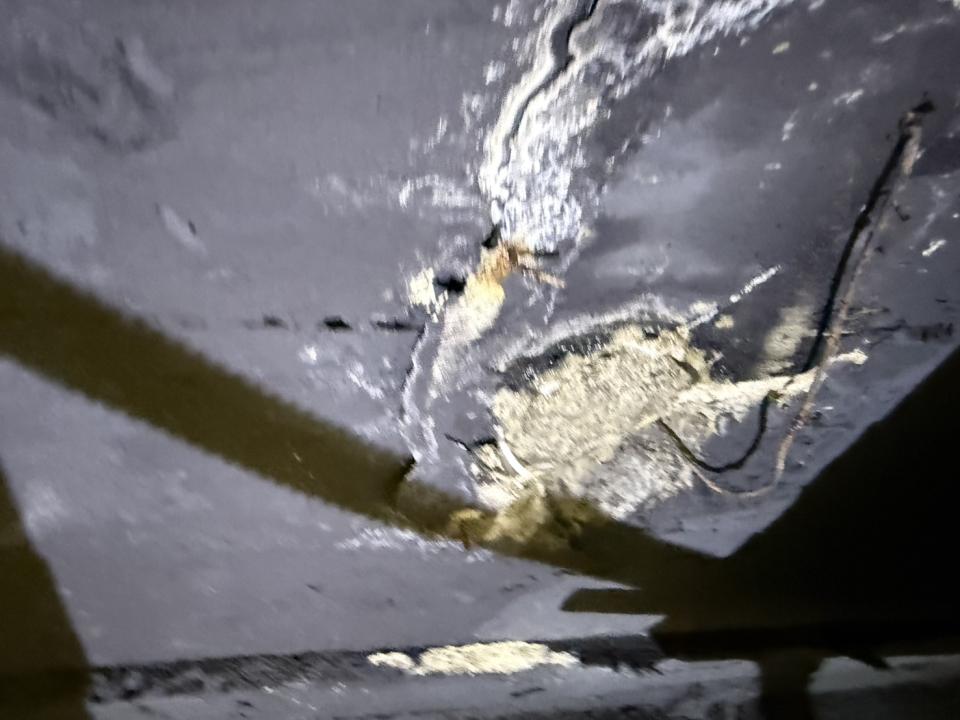漏水鑑定案件圖片 漏水鑑定案件圖片
