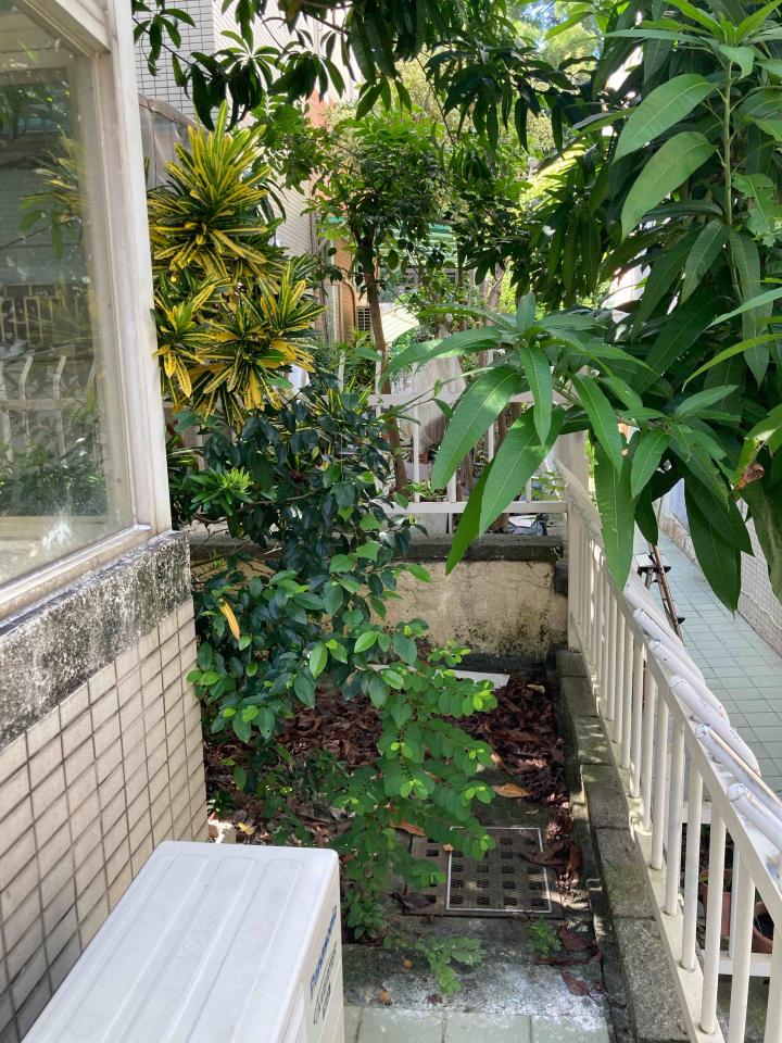 園藝維護案件圖片