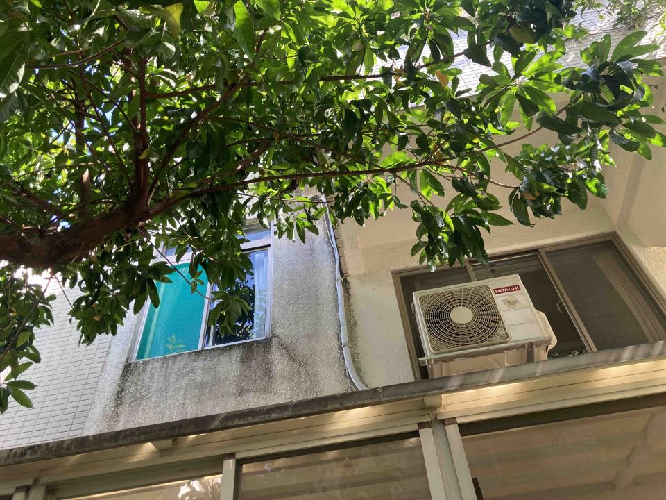 園藝維護案件圖片