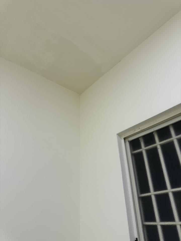 抓漏案件圖片