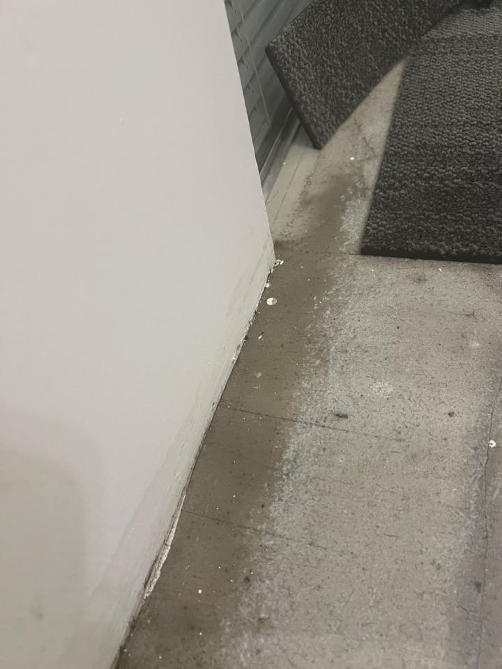抓漏案件圖片