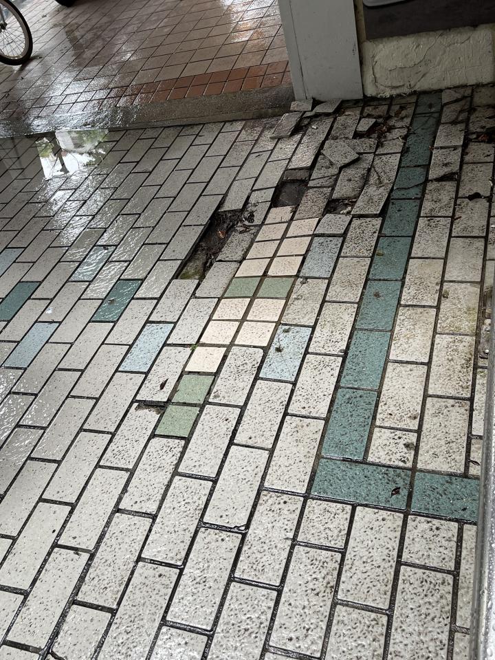 泥作/水泥施工案件圖片