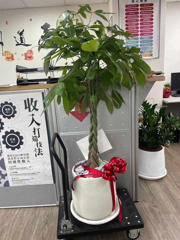 載貨運輸服務案件圖片