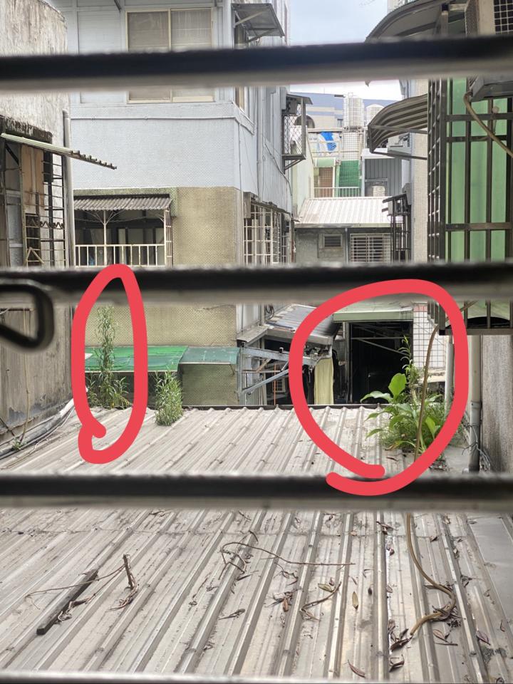 園藝維護案件圖片