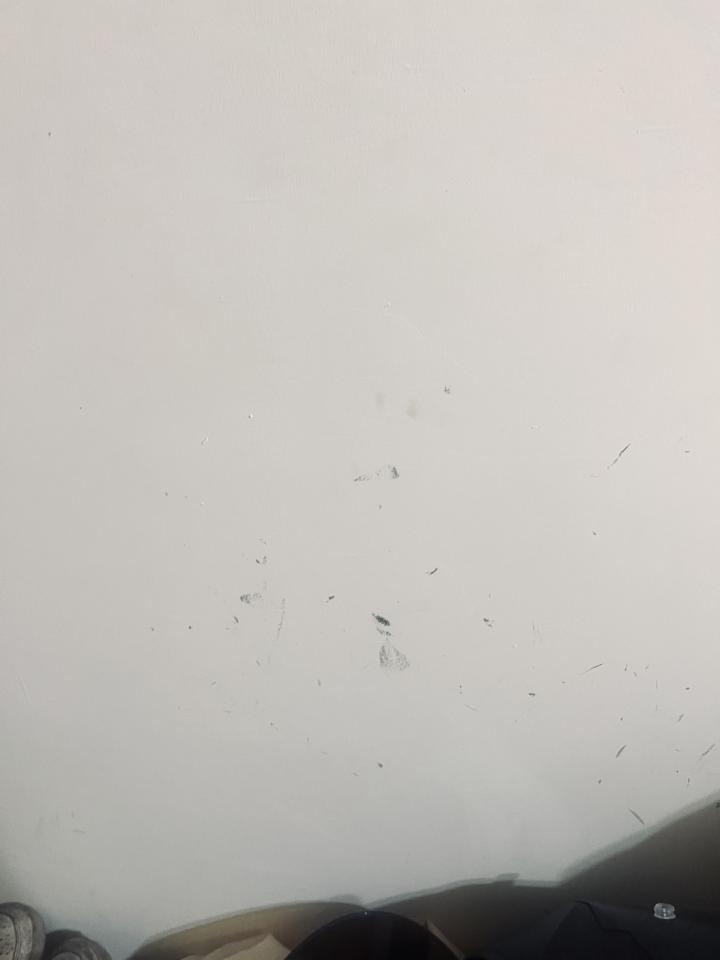油漆工程案件圖片