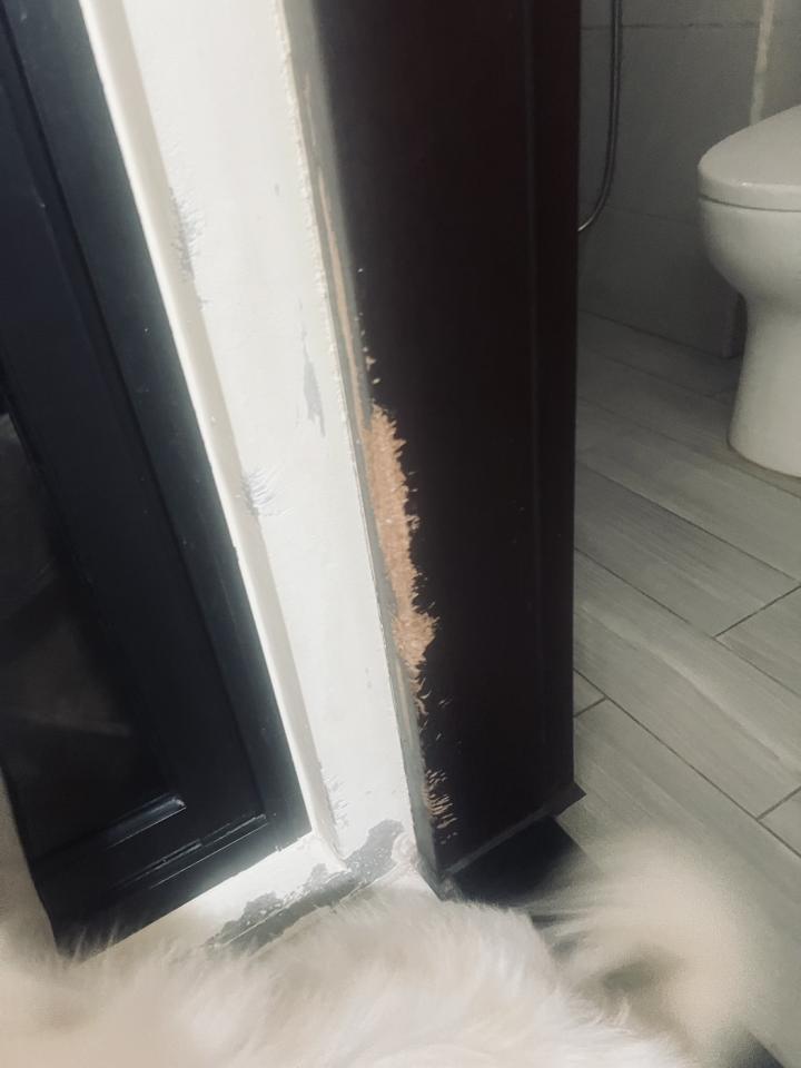 油漆工程案件圖片