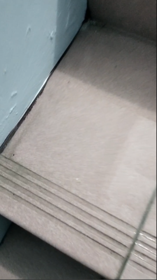 抓漏案件圖片 抓漏案件圖片