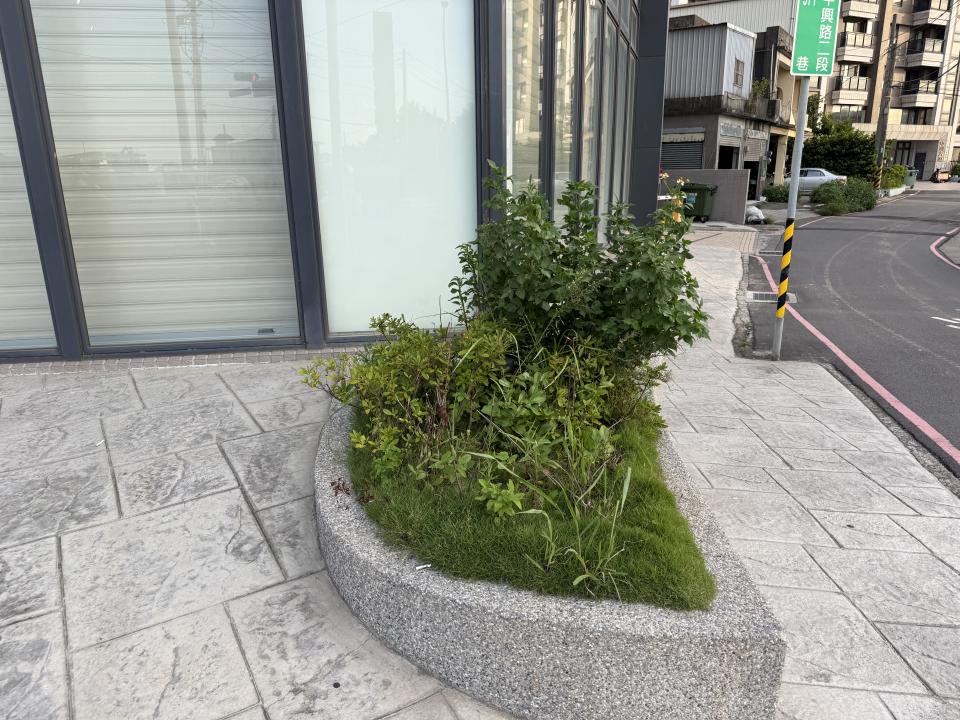 園藝維護案件圖片