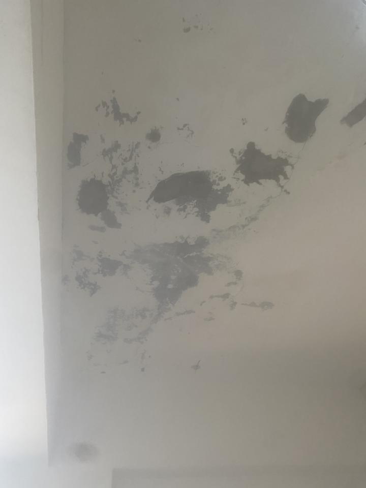 漏水處理案件圖片