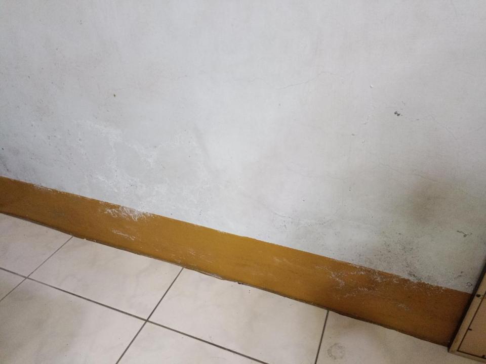油漆工程案件圖片