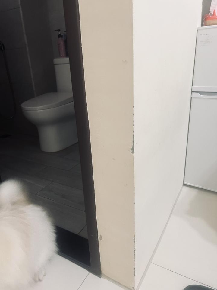 油漆工程案件圖片