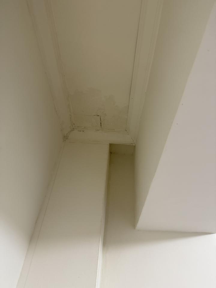 抓漏案件圖片