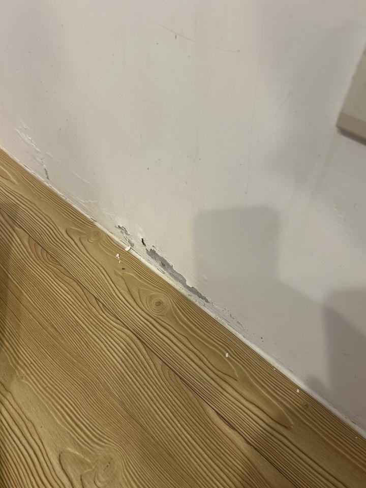壁癌處理案件圖片