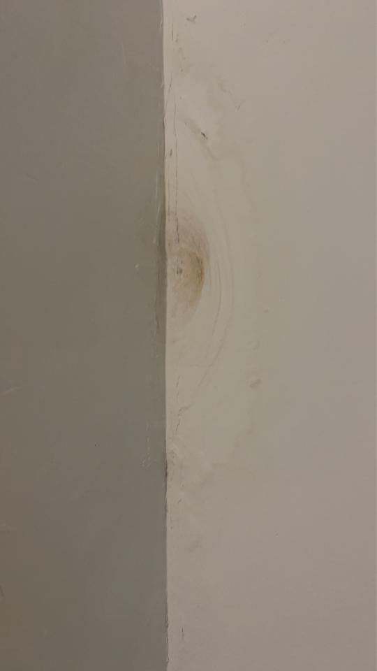 抓漏案件圖片