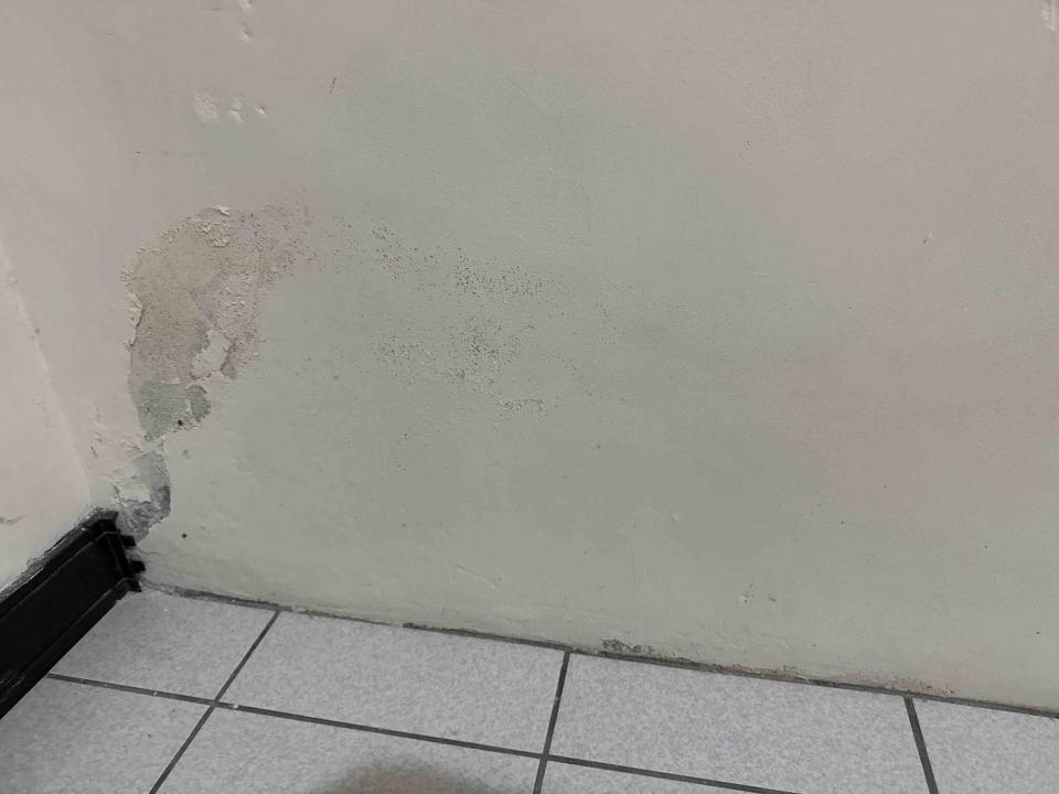 油漆工程案件圖片