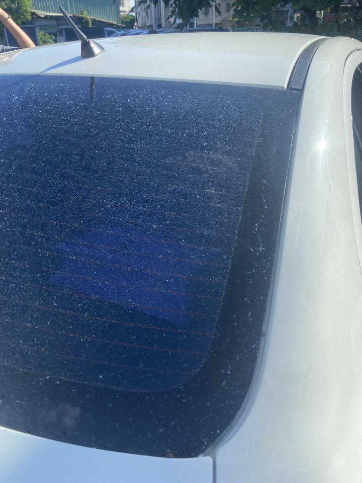 汽車玻璃修補案件圖片