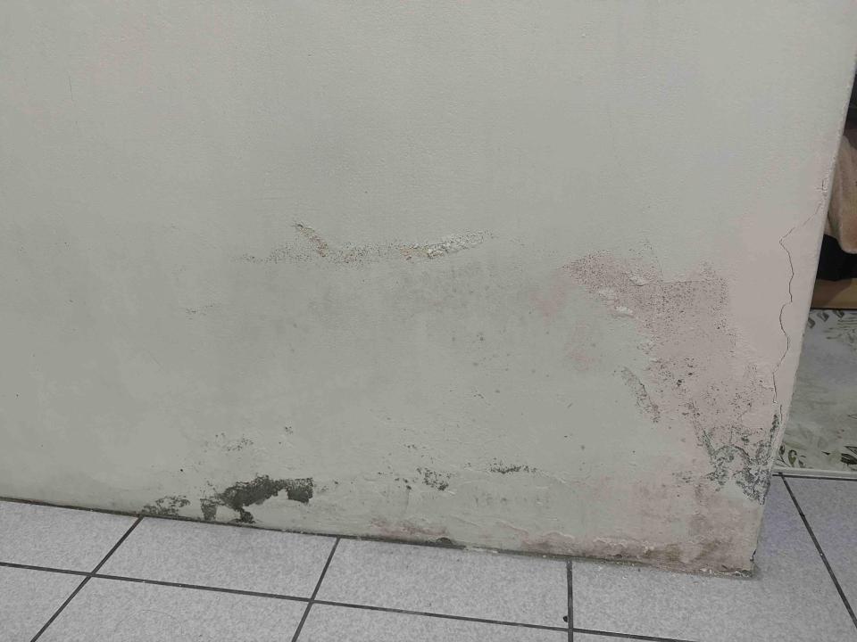 油漆工程案件圖片