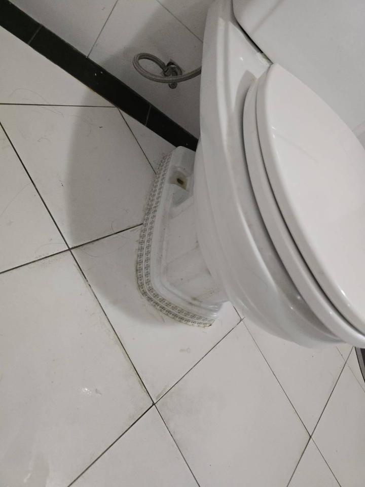 馬桶裝修案件圖片