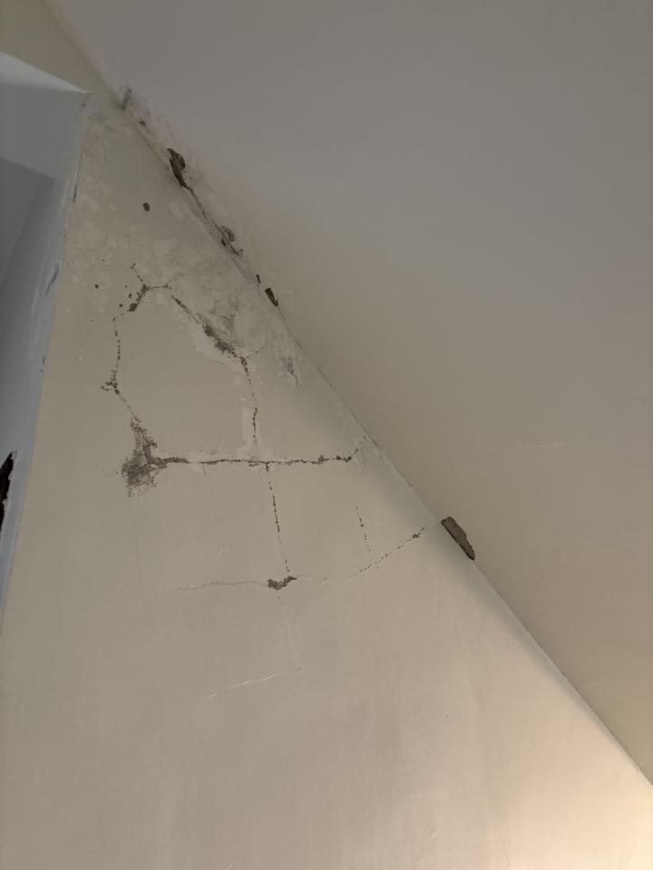 油漆工程案件圖片