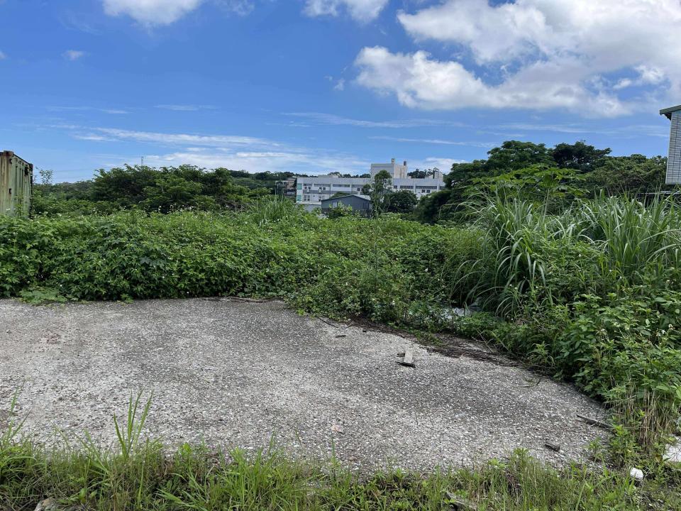 園藝維護案件圖片