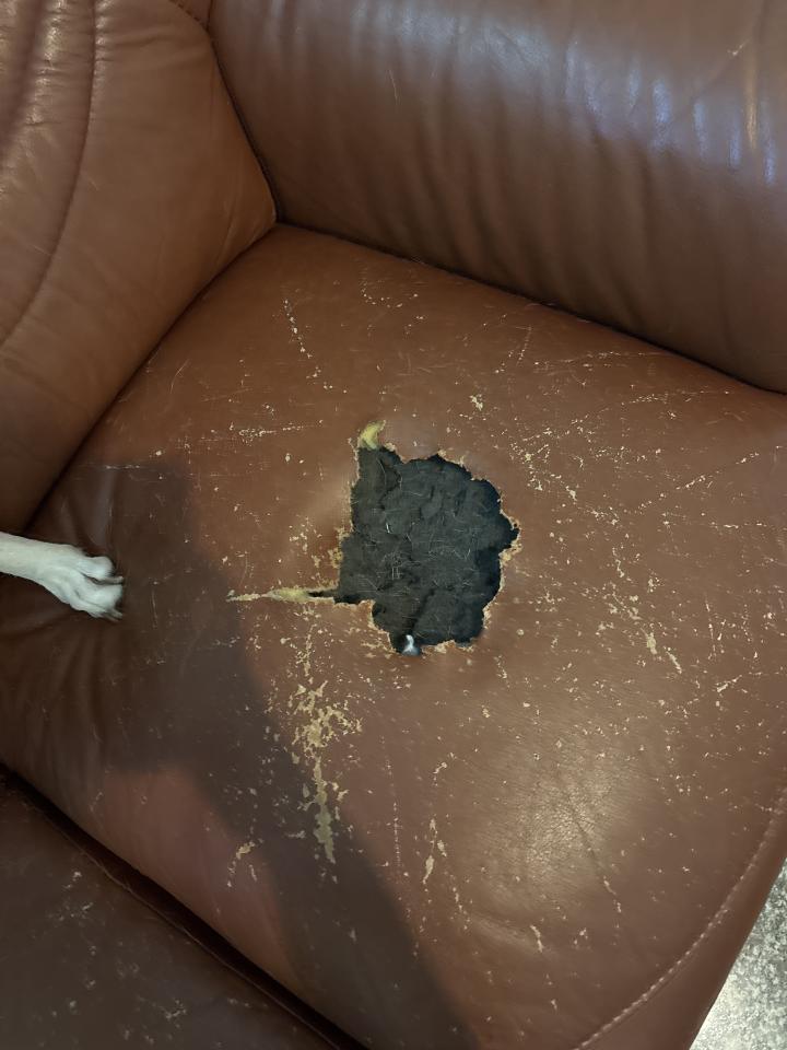 沙發修理案件圖片