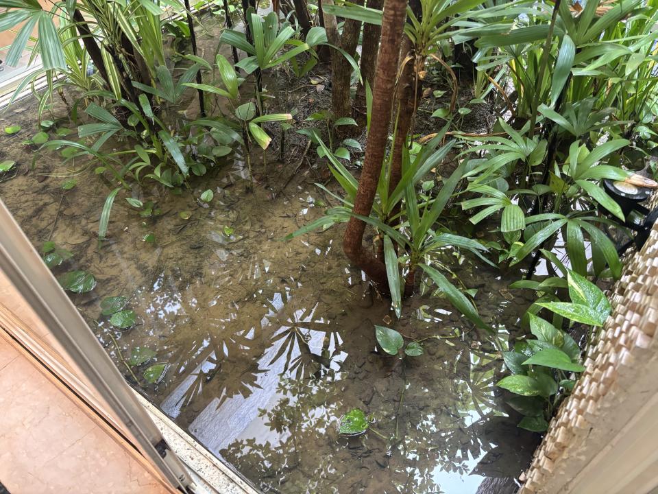 園藝維護案件圖片