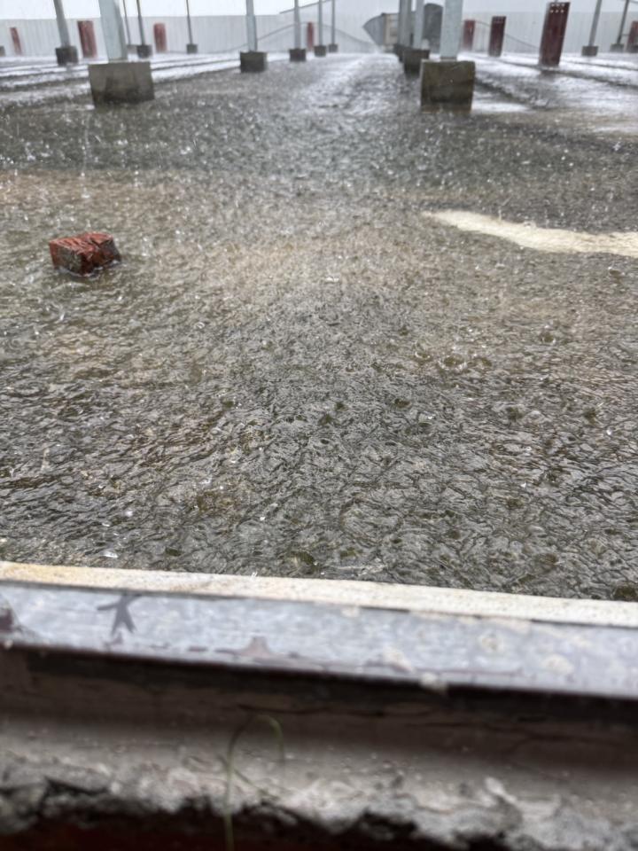 屋頂防水案件圖片