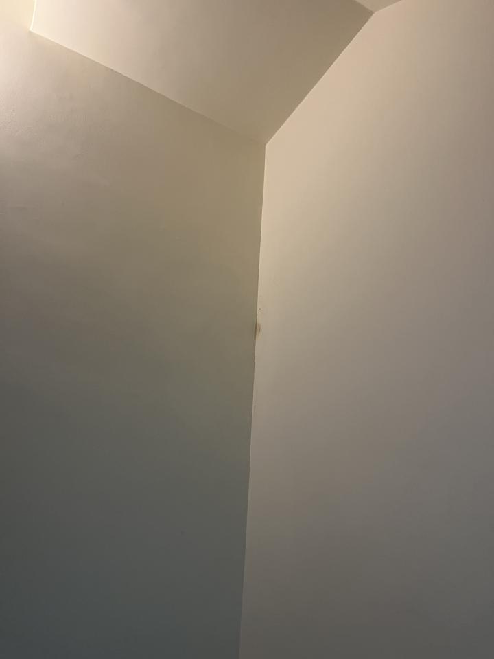 抓漏案件圖片