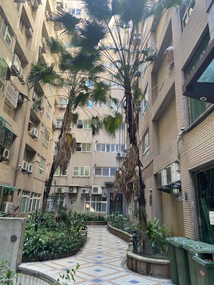 園藝維護案件圖片